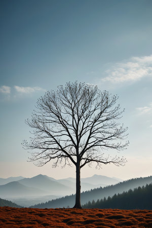 Landscape of a single dead tree in the wilderness of the mountainsの素材