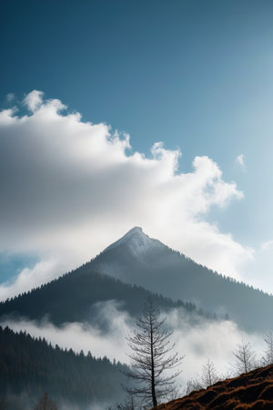 Misty mountain and forest landscapeの素材