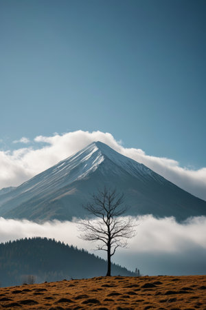 Lone tree scenery in front of the snow mountainの素材