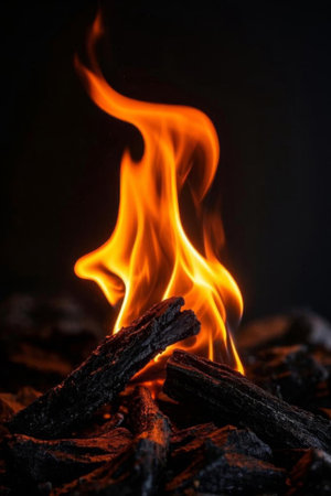 Close up of burning flames and charcoalの素材