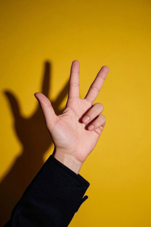 Close up of the Biye hand gestureの素材