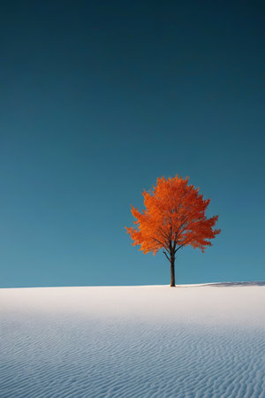 Single mangrove landscape on the snowの素材
