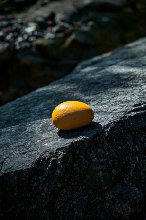 Yellow oval object on rockの素材