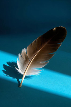 Single feather on blue backgroundの素材