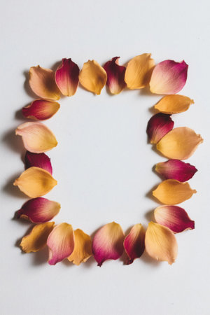 Square pattern of rose petalsの素材