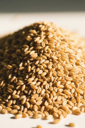 Close-up of a pile of wheat grainsの素材