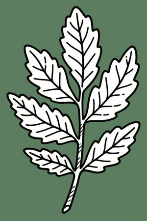 Illustration of plant leaves in simple line styleの素材