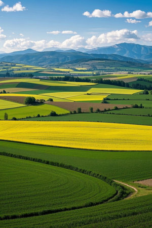 Overlooking view of agricultural scenery in the fieldsの素材