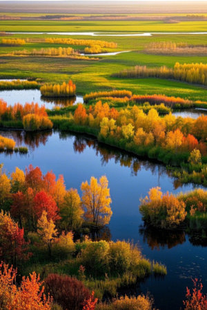 Autumn wild river forest sceneryの素材