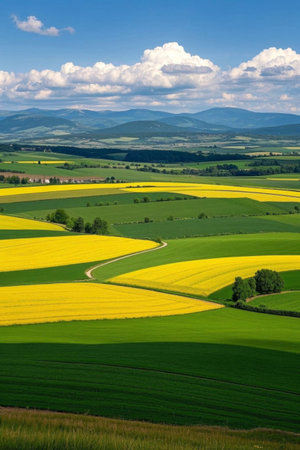 Field scenery distant viewの素材
