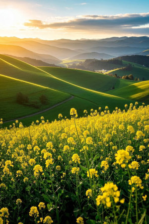 Pastoral rapeseed fields and distant mountain sceneryの素材