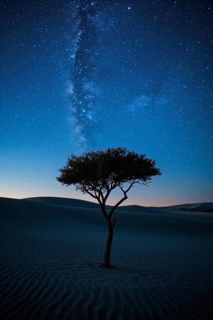 Lonely trees and starry sky in the desertの素材