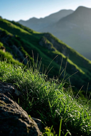 Outdoor green mountains and grasslands natural sceneryの素材