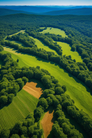 Aerial photography of green forests and field landscapesの素材