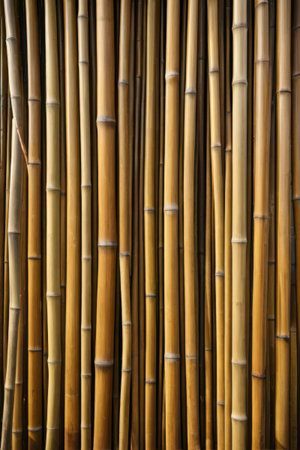 neatly arranged bamboo materialsの素材