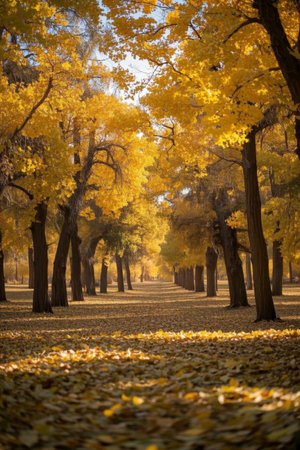 Autumn forest golden tree landscapeの素材