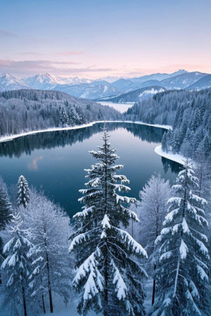 Panoramic view of snow covered forest lakes in winterの素材