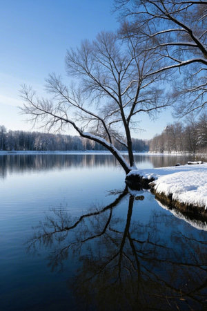Reflections of snow covered trees by the lake in winterの素材