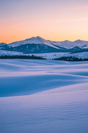 Snow and forest landscape under the snow capped mountainsの素材