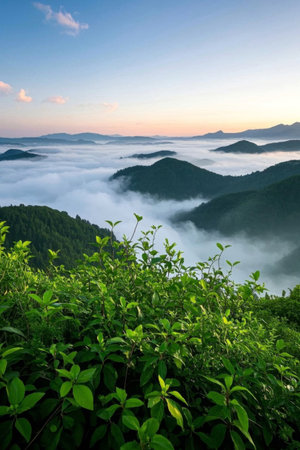 Mountain sea of clouds sunrise natural sceneryの素材