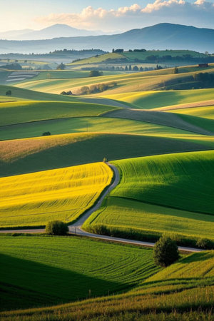 Winding paths in the idyllic sceneryの素材