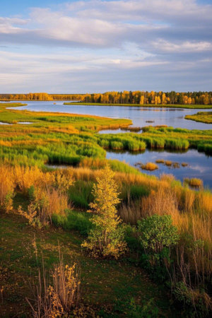 Autumn wetland natural sceneryの素材