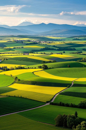 Yellow and green farmland in the pastoral sceneryの素材