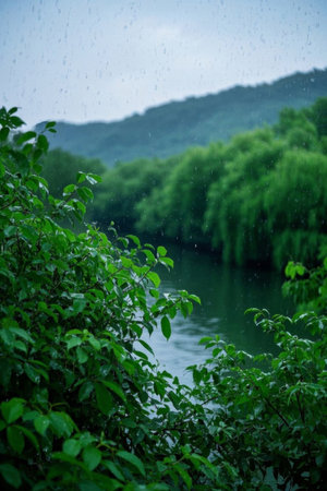 Green plants along the river in the rain and distant mountain sceneryの素材