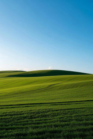 Green wheat fields and blue sky sceneryの素材