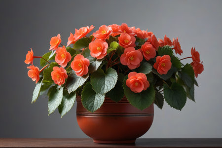 Still Life with Orange Red Flowers in a Potの素材