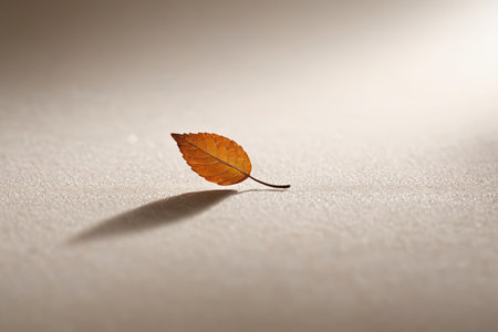 Single autumn leaf close upの素材