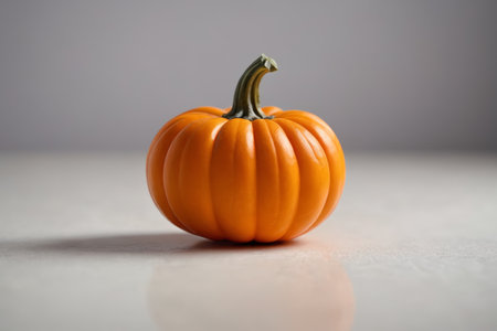 Close up of a single small orange pumpkinの素材