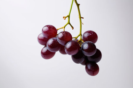 Fuchsia grapes close upの素材