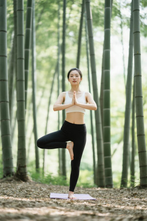 Elegant yoga practitioner in bamboo forestの素材