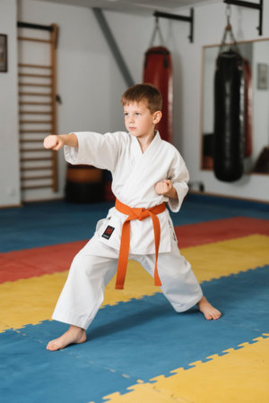 Boys practice karate posesの素材