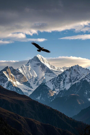 Eagles soaring over the snow capped mountainsの素材
