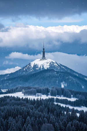 Snow Forest Landscapeの素材