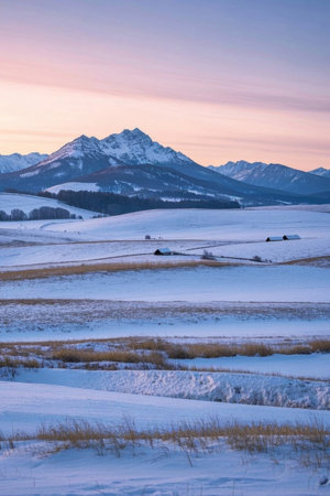 Snow Day Scenery Colorの素材