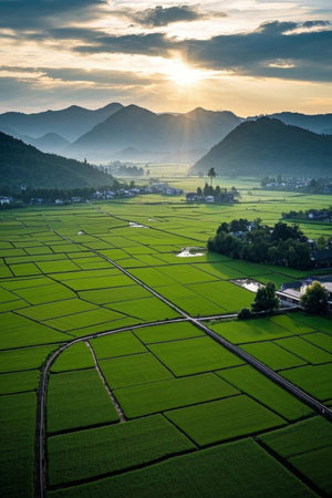 Rural Village FieldDay Sceneryの素材