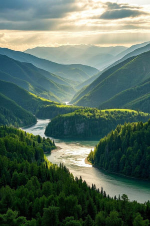 River Flow ForestNaturalSceneryの素材