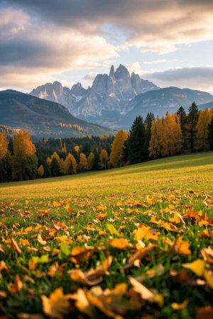 Autumn Scenery in the Windの素材