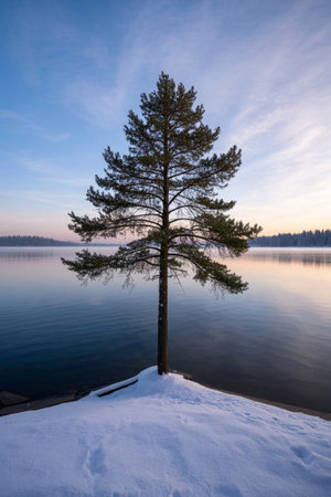 Snow Bank Tree Quiet Landscapeの素材