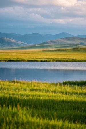 Grass NaturalSceneryの素材