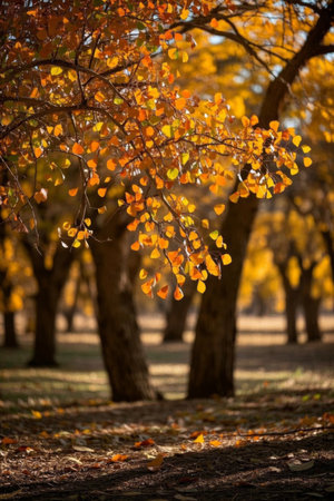 Autumn ForestGoldenTree Leaf NaturalLandscapeの素材