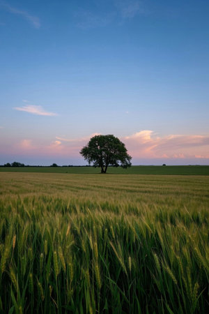 Field Tree Scenery in the Windの素材