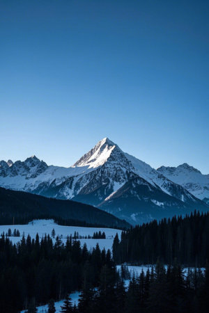 Snow MountainForest NaturalSceneryの素材