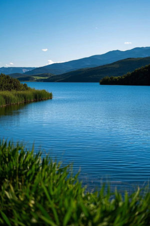 Tranquil NaturalScenery in the Windの素材