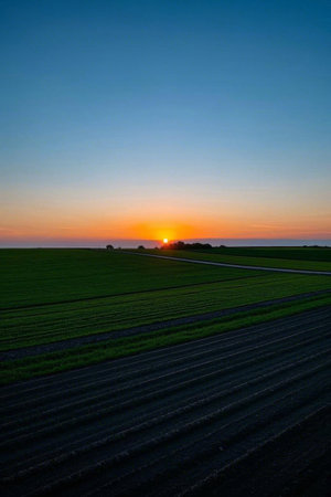 Field sunset natural sceneryの素材