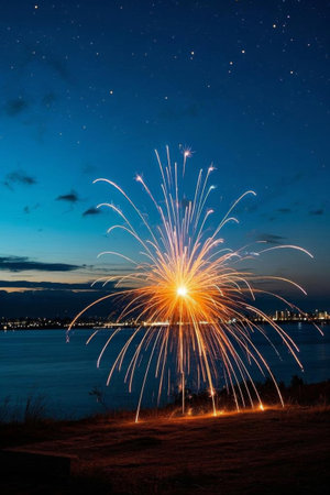 Fireworks blooming in the lakeside night skyの素材