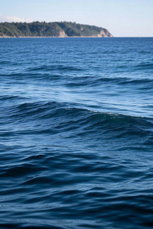 Blue Ocean and Distant Island Landscapeの素材